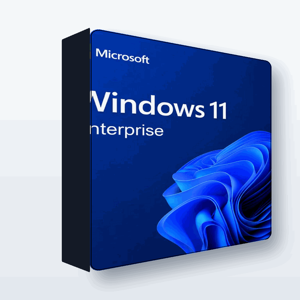 Win 10/11 Enterprise LTSC 24/23/22/21 (20 PC)